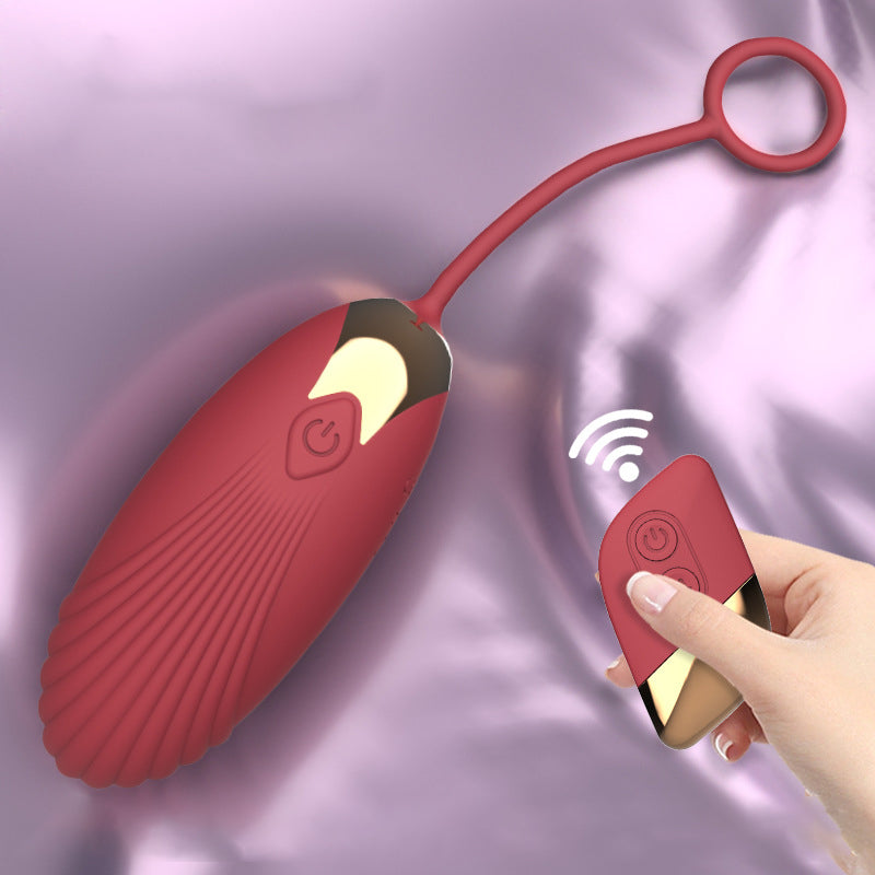 Vibrator To Wear When Going Out T016