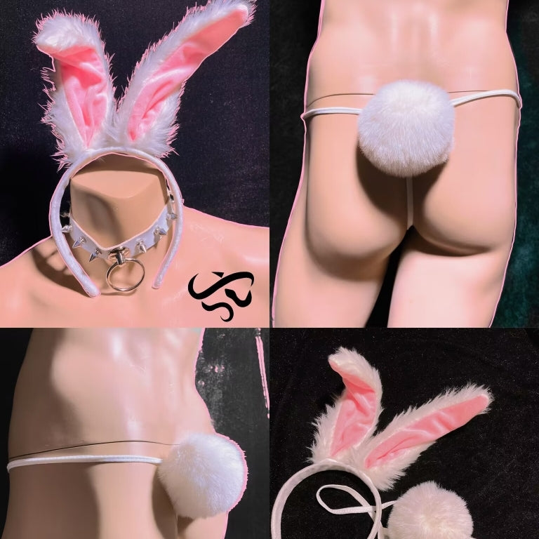 Cos rabbit S029