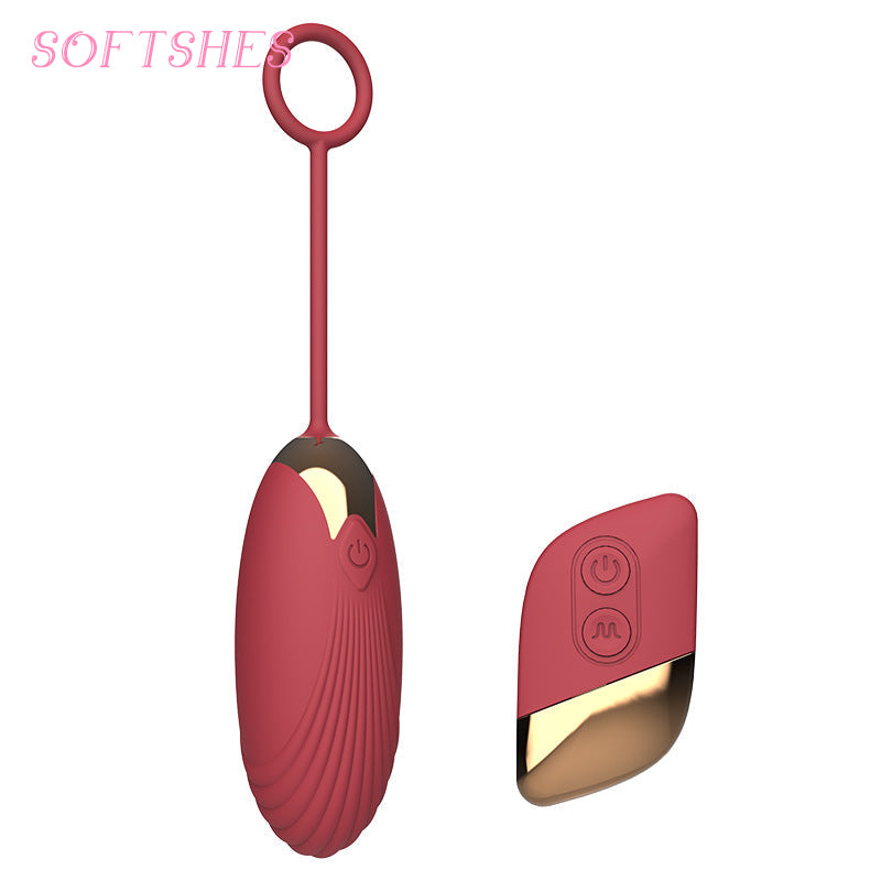 Vibrator To Wear When Going Out T016