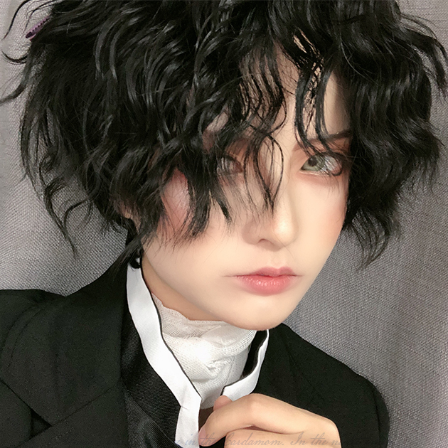 Foil hot handsome gay Harajuku Lolita Wig WS2064